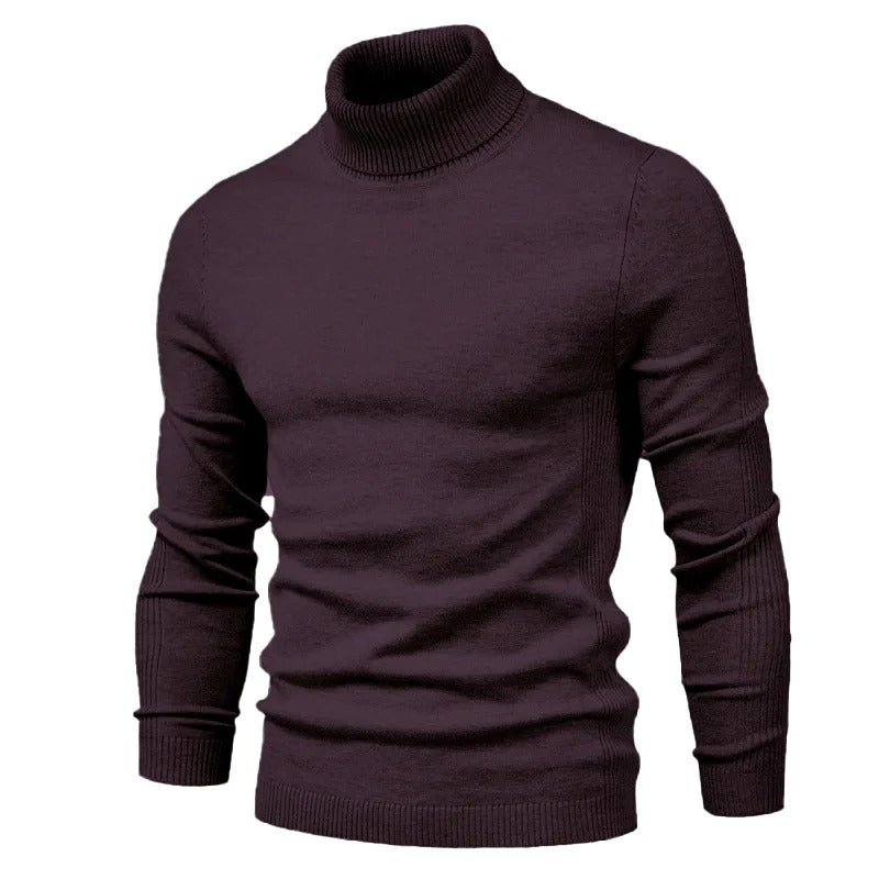 Carlo™ - Pullover mit Rollkragen